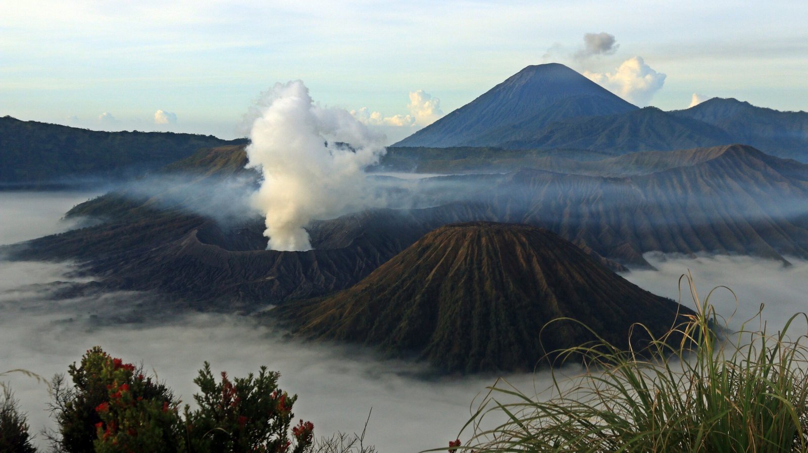 bromo